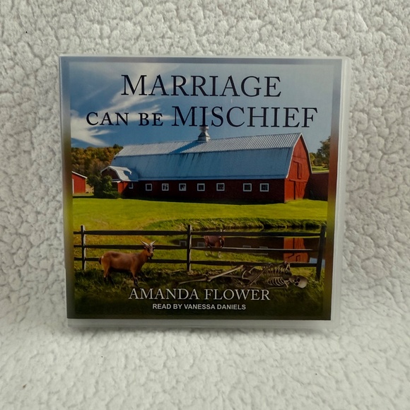 Bundle of 6 Amish themed books on CD - Picture 9 of 14
